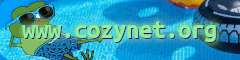 CozyNet's website